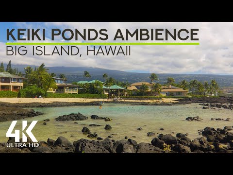 8 HRS Ocean Waves White Noise for Stress Relief \u0026 Deep Sleep - Relaxing at Keiki Ponds, Big Island