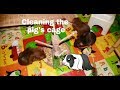 Cleaning Out The Guinea Pig Cage Teen Life