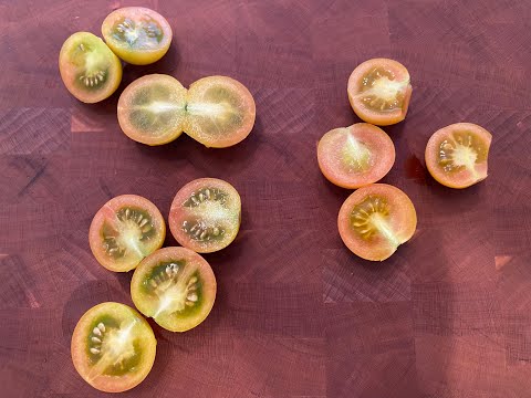 Soil Vs Hydroponic Tomato Taste Test - Can You Taste the Difference