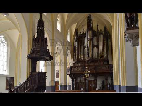 Cor van Dijk | Psalm 45 : 1 | Dirco Oskam orgel Sint Servatiuskerk Schijndel