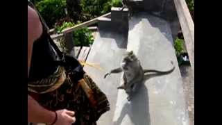 preview picture of video 'Bali - Pura Uluwatu temple, incontriamo scimmie dispettose'