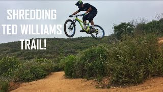 ted williams mountain bike trails