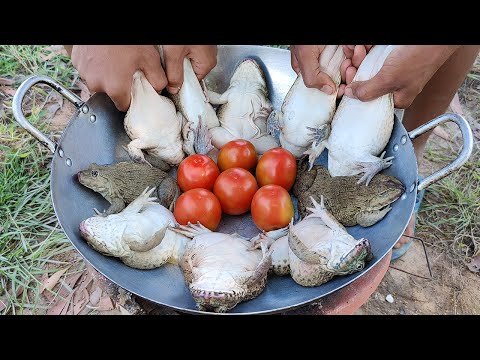 Braised Frog with Ginger | Tomato Cooking Frogs Recipe