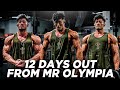 TIME TO DIAL IT IN | 12 days out MR OLYMPIA #chestworkout #bodybuilding