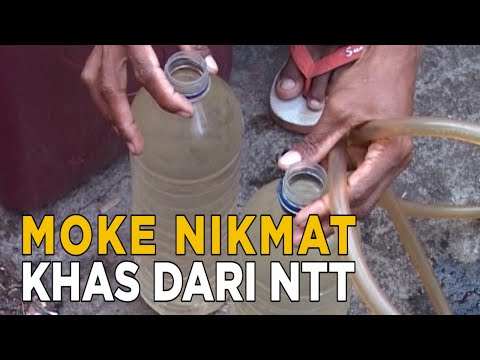 Moke, minuman alkohol tradisional khas NTT  | SISI LAIN