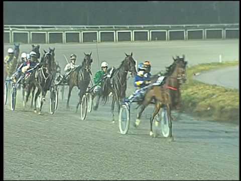 Trotto 03/01/2017 - 4ª corsa