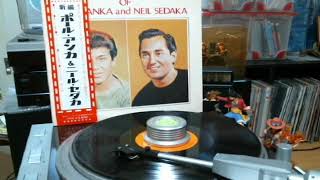 PAUL ANKA  A5 「Every Night （Without You） 」