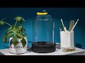 Jam jar -- borcanul inteligent Jam jar -- borcanul inteligent