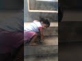 Indian 9 Month Old Baby Going To Terrish
