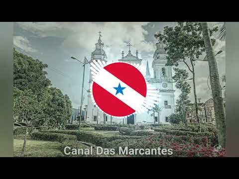 Banda AR-15 - Sorri Chorei