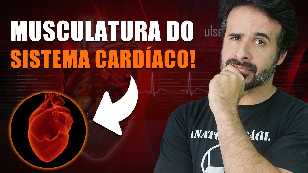 CURIOSIDADES SOBRE A MUSCULATURA DO SISTEMA CARDÍACO!