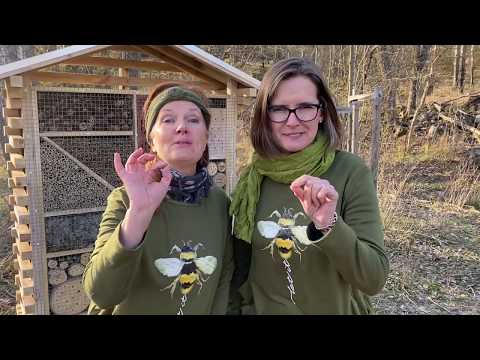 HURRA, ett bi! - Hur man bygger ett bihotell på absolut enklaste sätt