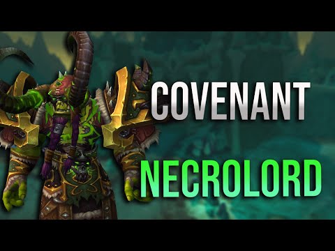 9.1 Necrolord Warlock Covenant Review and Wanted Changes! Soulbinds, Talent Interactions and More