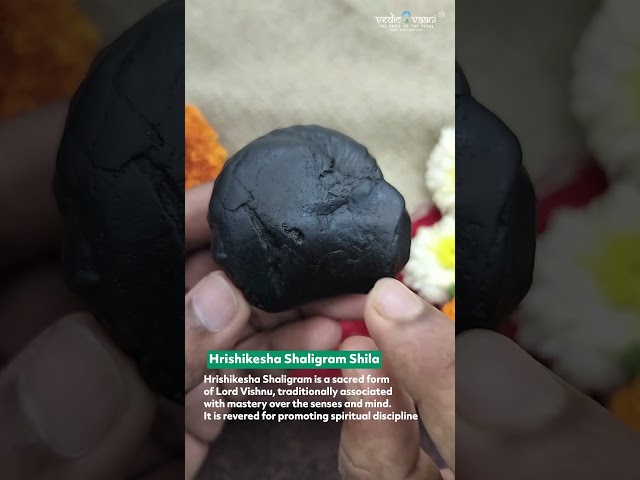 Lord Vishnu Hrishikesha Shaligram Shila video