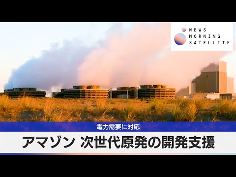 IUCN分類における絶滅の危険性を示す図。