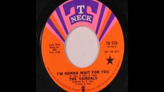 I&#39;m Gonna Wait For You-The Vandals-1970