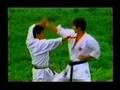 Bunkai Do Heian Yondan