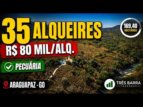 FAZENDA À VENDA EM GOIÁS | 35 Alqueires em Araguapaz | Pecuária, Rio e 3 Represas | R$ 2,8 Milhões
