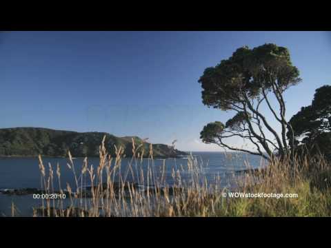 Beach Landscape SF0472