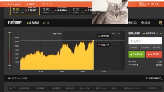 【FX】1万円から始める為替取引【BO】