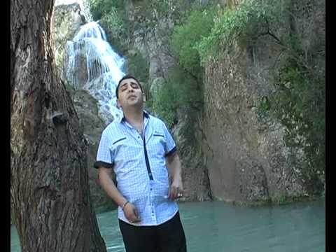 Ork.Favorit 2011 - SESIZCE ALADIM