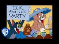 Tom Jerry It S Party Time Classic Cartoon WB Kids