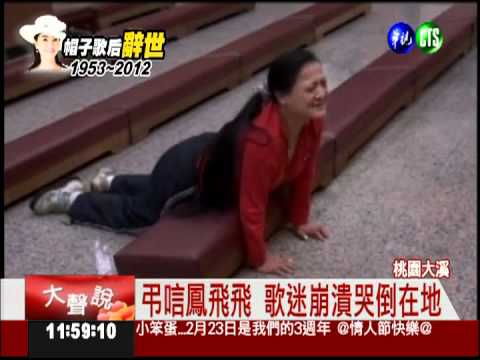 最愛的鳳姐走了... 歌迷哭倒崩潰