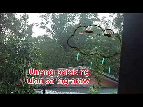 Unang patak ng ulan sa tag-araw 🌞🌞☀️🌦🌧🌧⛈️