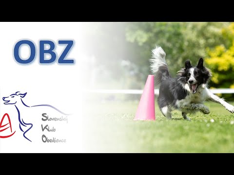 OBZ: inštruktážne video