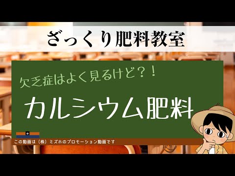 あなたの植物が天然のカリウムを豊富に含む肥料の恩恵を無料で受けられたらどうなるでしょうか?集中！  庭園