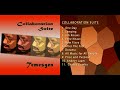 Collaboration Suite - Temesgen
