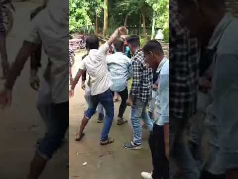 #school #schoolfest #schoollife