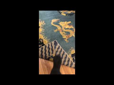 Antique Chinese Peking Rug Repair NYC