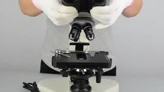Microscopio Binocular Prof1