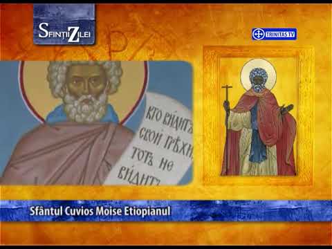 Sfinții zilei - 28 august