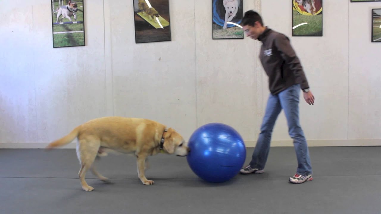 YouTube video preview