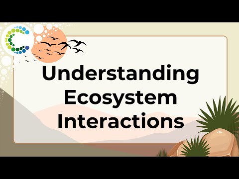 Understanding ecosystem interactions