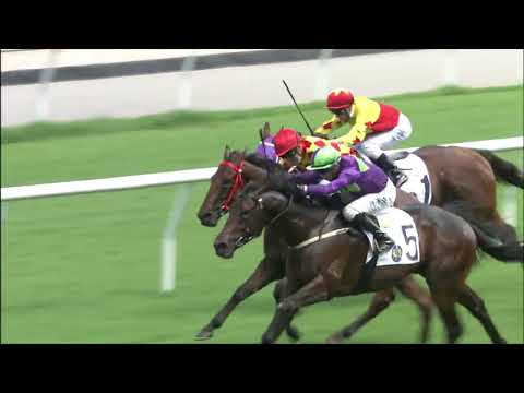 10/7/2022 (811) Universal Horizon -  Vincent Ho