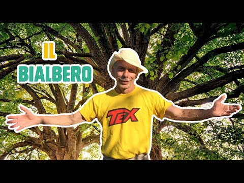 GIOVA LOVES NATURE 🌳 - Ep.13 - IL BIALBERO