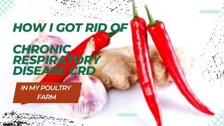 How I Got Rid of Chronic Respiratory Disease (CRD) in My Poultry Farm.