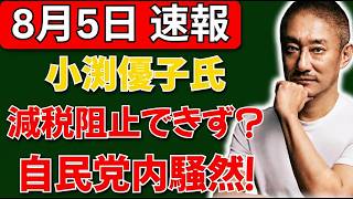【自民党内騒然】小渕優子氏、首相の減税決断を止められず？激しい反応にネット騒然