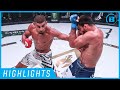 Highlights | Douglas Lima