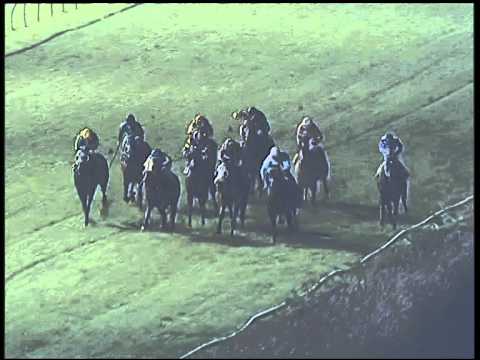 Galoppo 17/12/2014 - 6° corsa