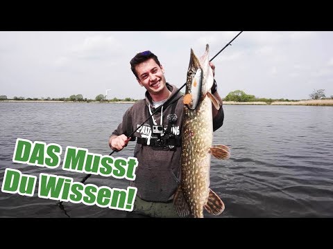 Du willst HECHT ANGELN? Die 3 WICHTIGSTEN Tipps für Einsteiger - Hecht mit Gummifisch