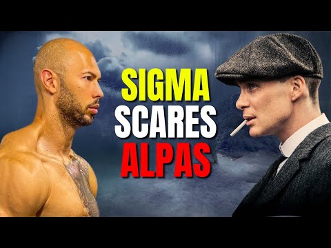 Why Sigma Males Scare Alpha Males