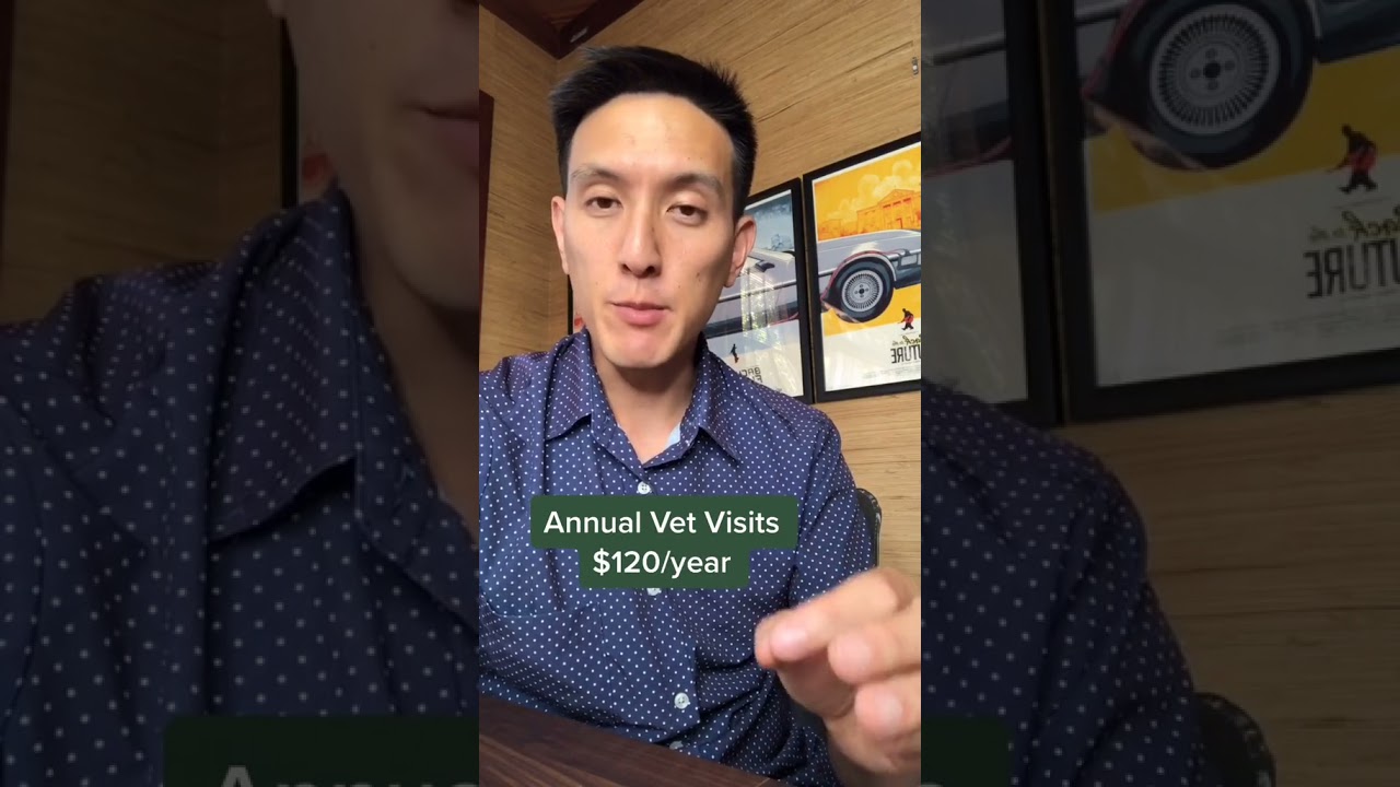 What is the average cost of owning a cat? Tipseri