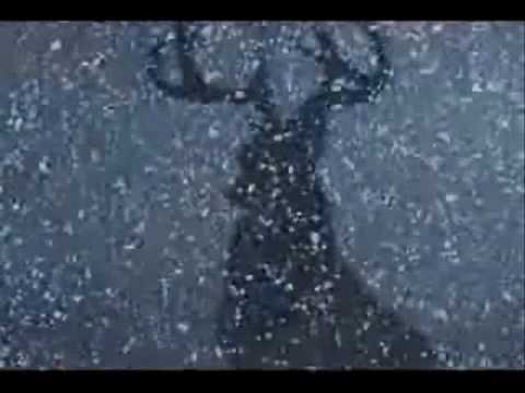 // A Fateful Meeting ~ Bambi //