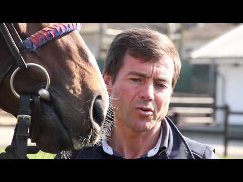 Galopper im Profil.... Neatico