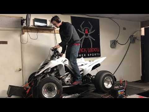 yamaha raptor stage 3 cam big bore porting dyno