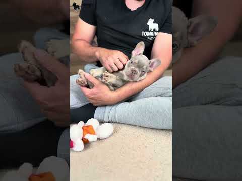 Video 1